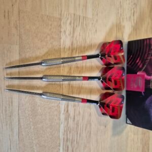 2DH: Target Stephen Bunting G5 25gr